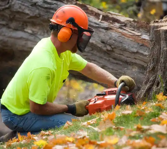 tree services Logan Elm Village